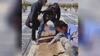 کلیپ طنز -خنده دار