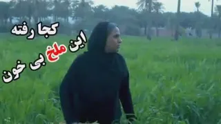 پسر مادری