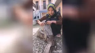 از عجایب