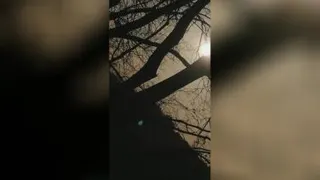 سیگار داری؟