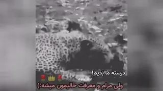 مرام .بامعرف