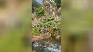 طبیعت شمال1