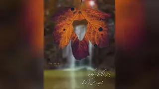 تو همین