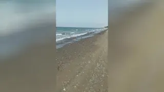 ساحل عمان