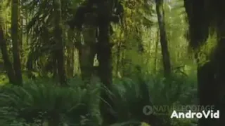 غم وغصه هاتو رها کن