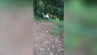 خاطرات شمال یادش نمیره 🤣
