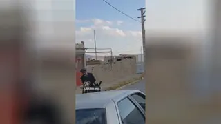 کلیپ