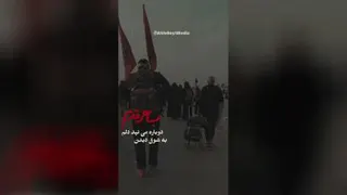 استوری اینستاگرام ویژه اربعین حسینی | با نوای حاج میثم مطیعی