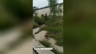 😂 طبلیغات بسیار ارزان با قیمت باور نکردی.برای تبلیغ به پیوی مراجعه کنید.!!!!!!!