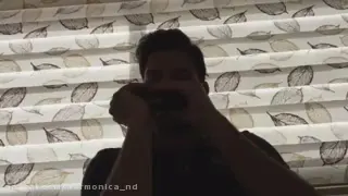 نوازندگی هارمونیکا(سازدهنی )/آموزش سازدهنی.تابهاردلنشین