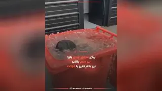 کلیپ آموزشی