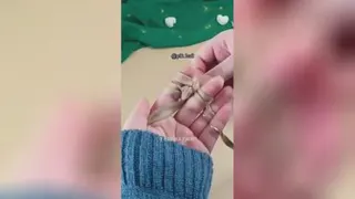 آموزش پادری