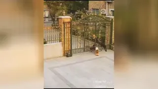چند نفر به یه نفر