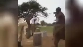 غذا با کتک