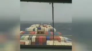 مسعود فردمنش