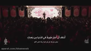 یارالی زهرا