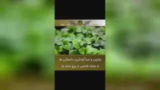 اگه دونه های میوه در بدن ما رشت میکردن🤪