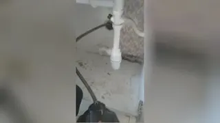 لوله بازکنی گیشا