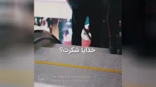 شکر گذاری