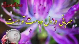 مذهبی