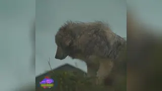 سفر به ناشناخته های ایران قسمت 6