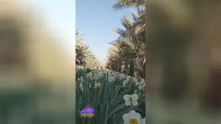 سفر به ناشناخته های ایران قسمت 3