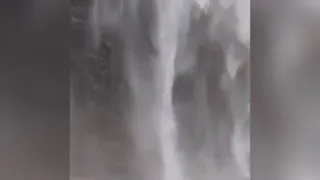 همنشین