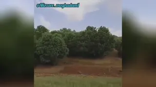 کاریزما چیه؟🤔