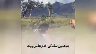 آرامش خیال
