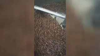 برشته کاری