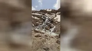 چشمه سار