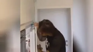پدر است دیگر😁