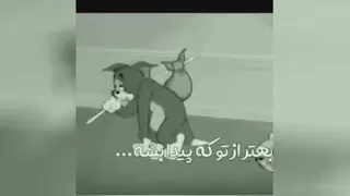 تام و جری