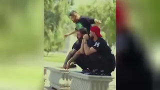 گل دون ها کم شدن