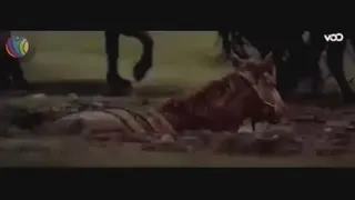 حکایت پندآموز