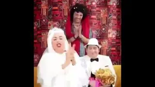 شادباش