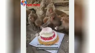 دعوای و زن و شوهر