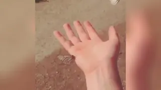 حس ناب