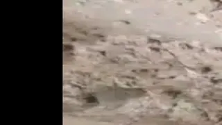 پاکسازی کوه دماوند