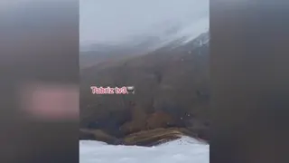 طبیعت گردی