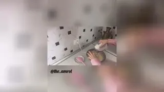 کیک شکلاتی