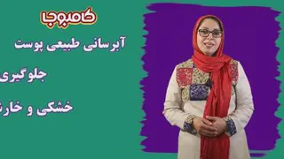 اثرات کامبوجا روی پوست بدن