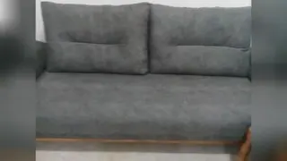 مدل ژینوس