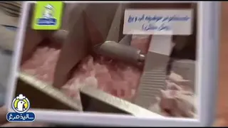 سالیذ مرغ