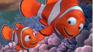 انیمیشن کامل در جستجوی نمو/Finding Nemo 2007
