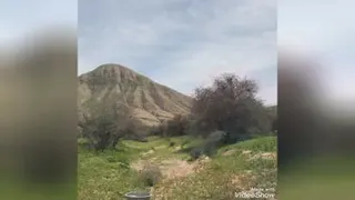 فصل بهار و زیبایهای روستامون 😍🍀