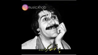 حسین پناهی