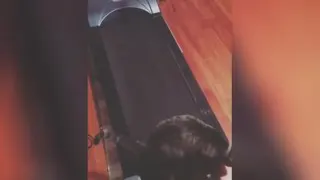 گربه رو تردمیل 🤣😂