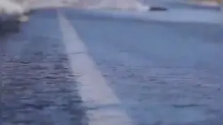 عبور ماهی ها از عرض جاده