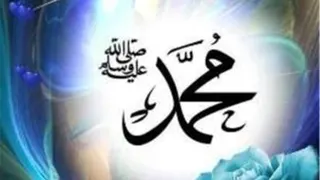 میلاد پیامبر مهربانی ها